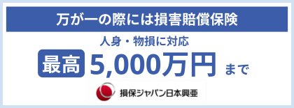 損保ジャパン日本興亜