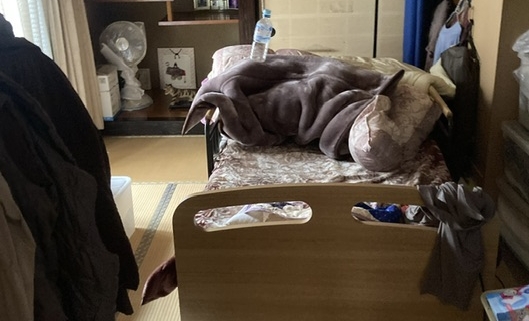 栃木県壬生町の戸建て住宅・片付け前の居室。ベッド周りに衣類や寝具が散乱し、生活導線が遮られている様子。