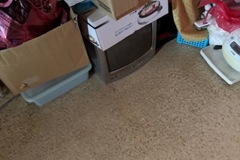 栃木県宇都宮市の集合住宅1DK、玄関から室内にかけて不用品やゴミが散乱している片付け前の様子