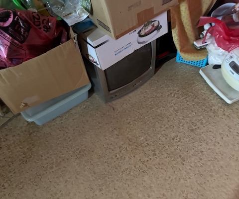 栃木県宇都宮市の集合住宅1DK、玄関から室内にかけて不用品やゴミが散乱している片付け前の様子