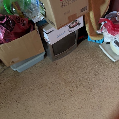 栃木県宇都宮市の集合住宅1DK、玄関から室内にかけて不用品やゴミが散乱している片付け前の様子