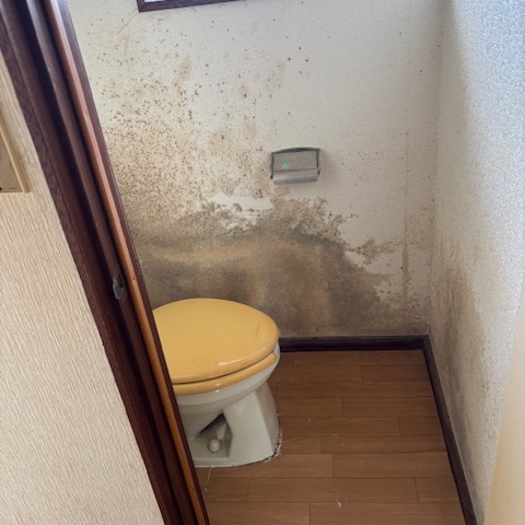 消臭・除菌作業完了後の室内。床や壁が清掃され、空気が入れ替わり明るく清潔な空間に変化（真岡市）