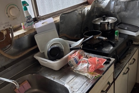 キッチンまわりに食器や調味料が残る孤独死現場。害虫が発生しており、衛生環境の改善が必要な状況。