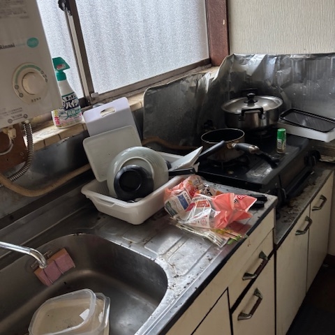 キッチンまわりに食器や調味料が残る孤独死現場。害虫が発生しており、衛生環境の改善が必要な状況。