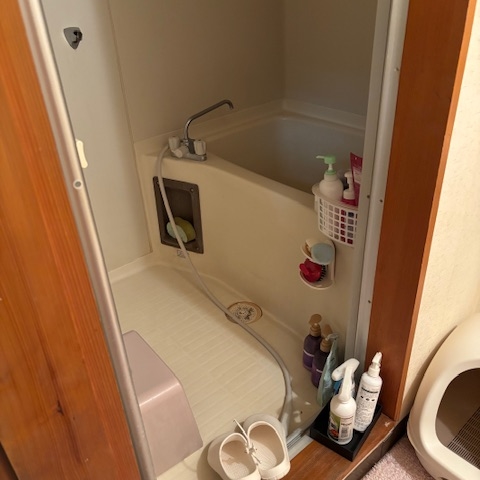 宇都宮市ユニットバス残置洗剤確認前状況